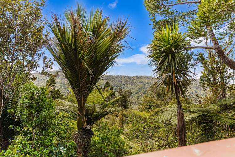 19 Te Aute Ridge Road Waitakere_8