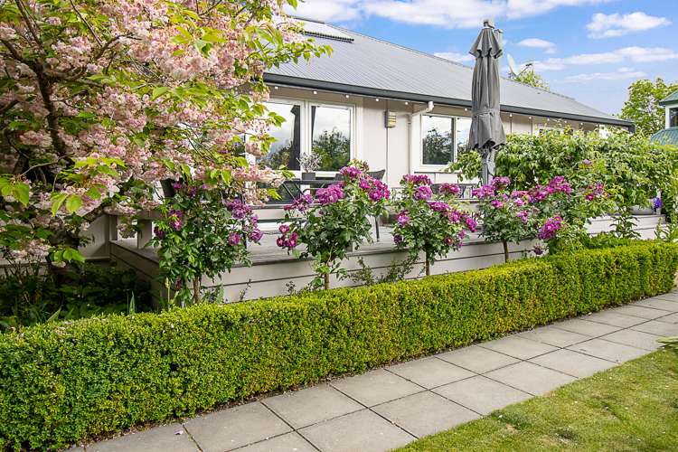 18 Purkiss Street Springlands_44