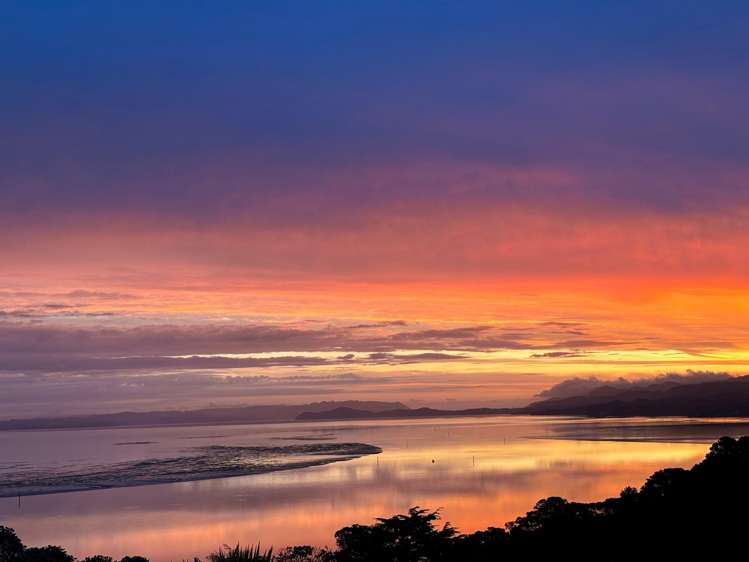 4A Godwit Place Lynfield_6