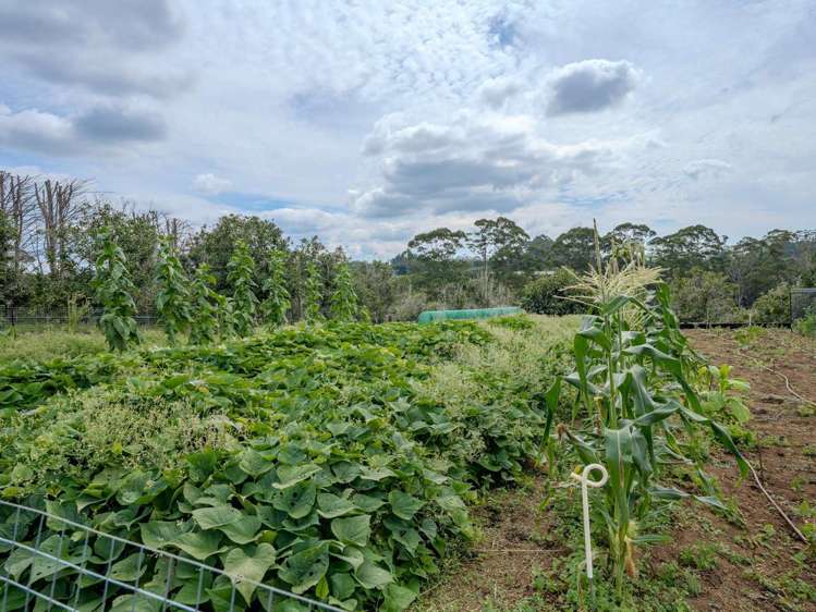 89 Conifer Lane Kerikeri_32