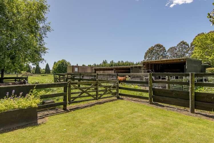 245 Prestons Road Marshland_22