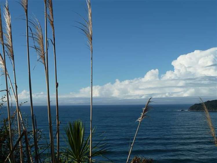 13 Pacific Drive Tairua_29