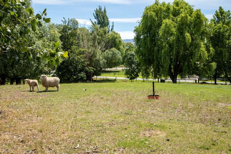 35 Clare Road Alexandra_20