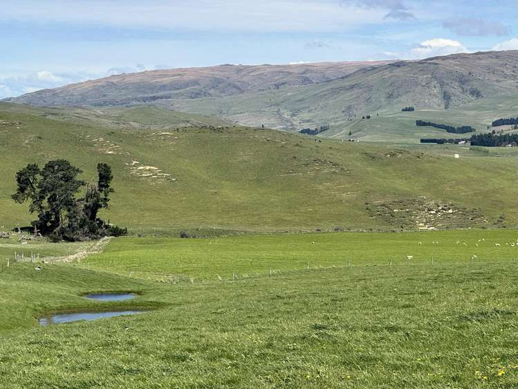 387 Kyeburn-Hyde Road Kyeburn_16