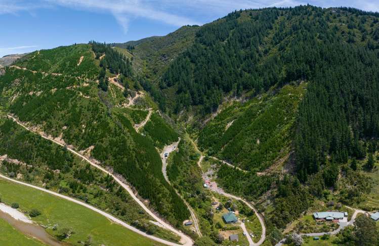 785 Waikakaho Road Tuamarina_12