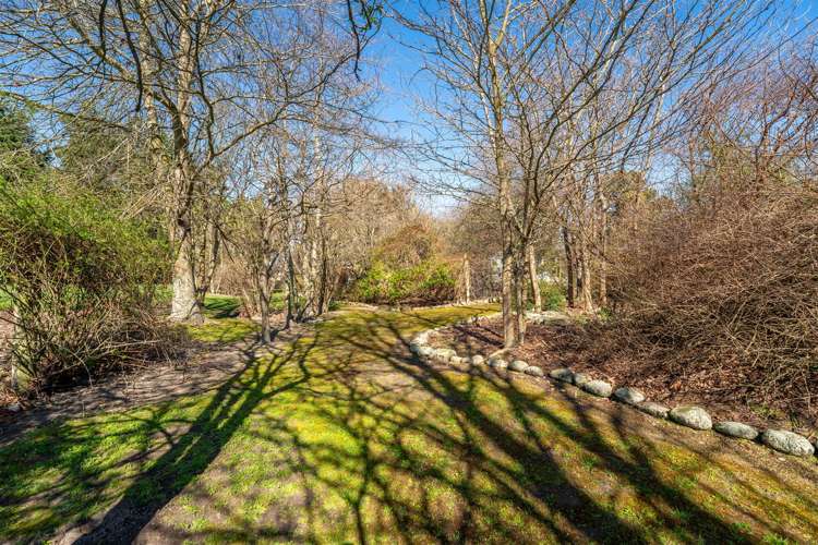 57 Dennistoun Road Mesopotamia_7