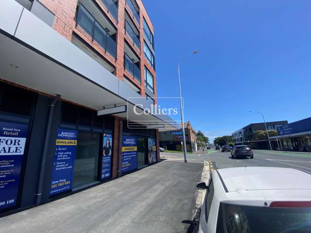 Unit F, 428  Dominion Road Mount Eden_1