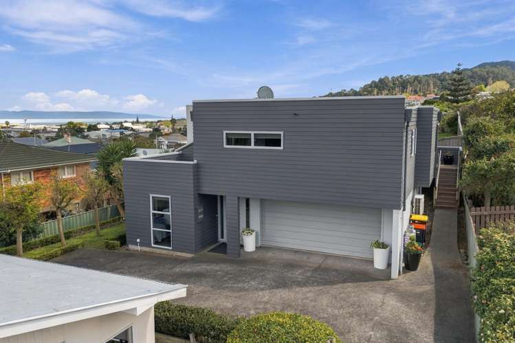 203a Hape Road Thames_5