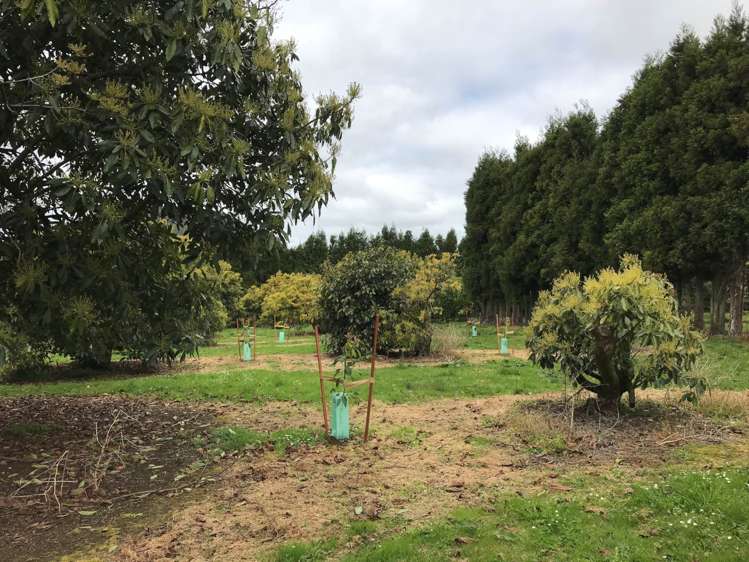 1618 State Highway 14 Maungatapere_17