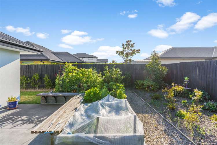 100 Tauhinu Avenue Lincoln_17