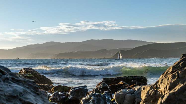 525 Muritai Road Pencarrow Head_23