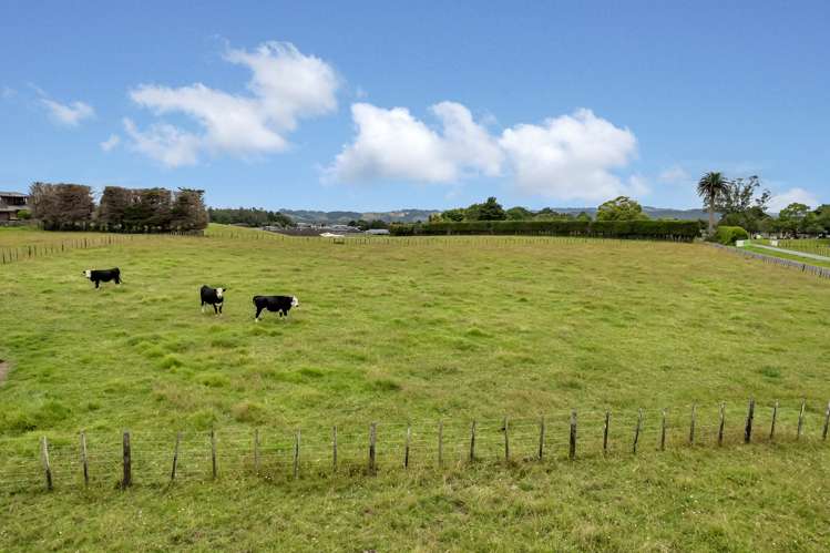 29 Ketenikau Road Kamo_39