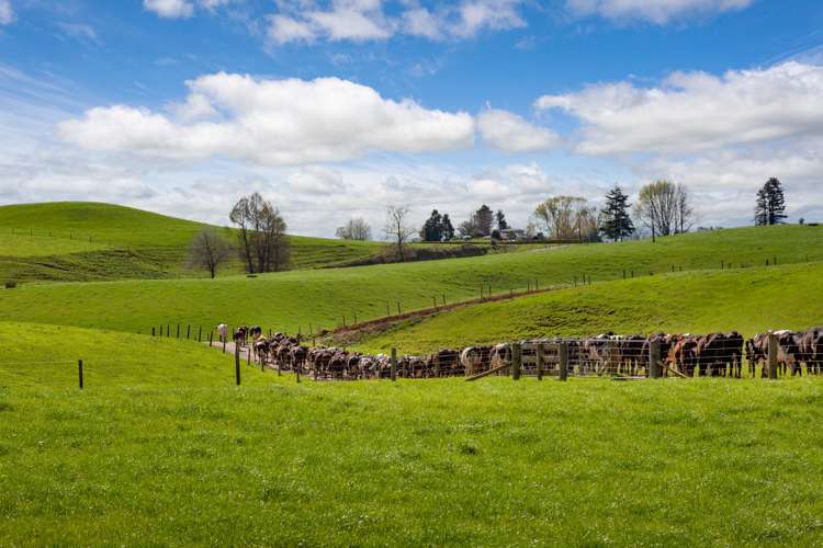 210 Papatangi Road Te Poi_9