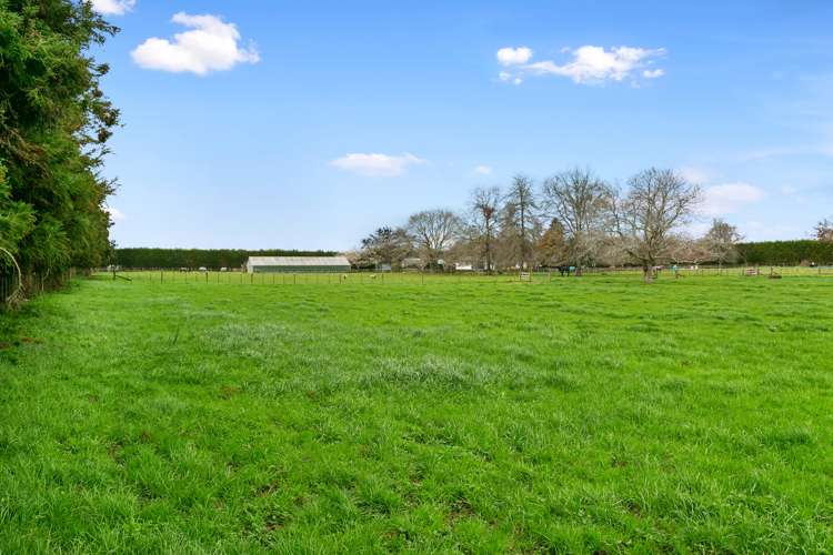 14 Pukerimu Lane Cambridge_20