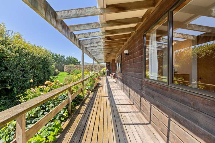 36 Seddon Street Ward_13