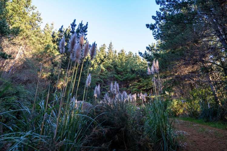 818 Otaki Gorge Road Te Horo_7