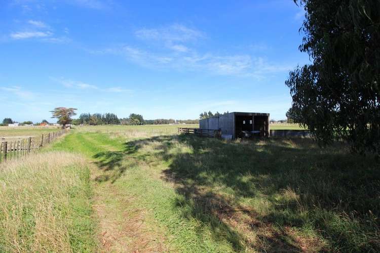 112 Calico Line Marton_75