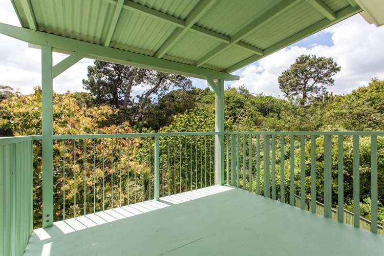 49 Esmeralda Avenue Avondale_9