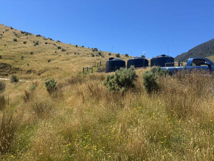 Cissy Bay Road, Cissy Bay French Pass_7