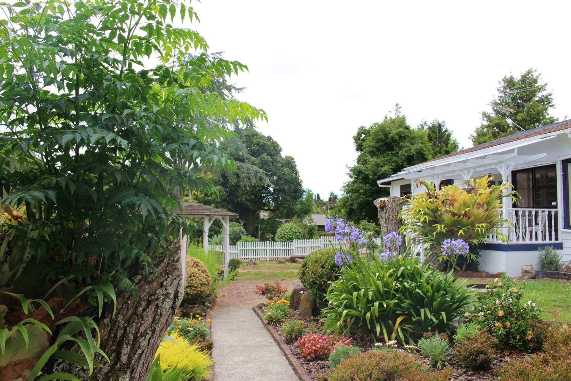 281 Whangarata Road Tuakau_0