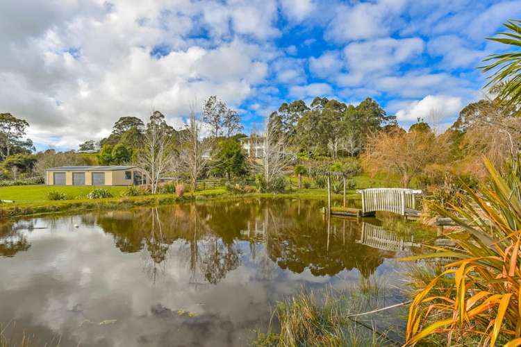 102 Kennedy Road Dairy Flat_9