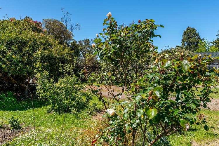 15A Kent Street Carterton_5