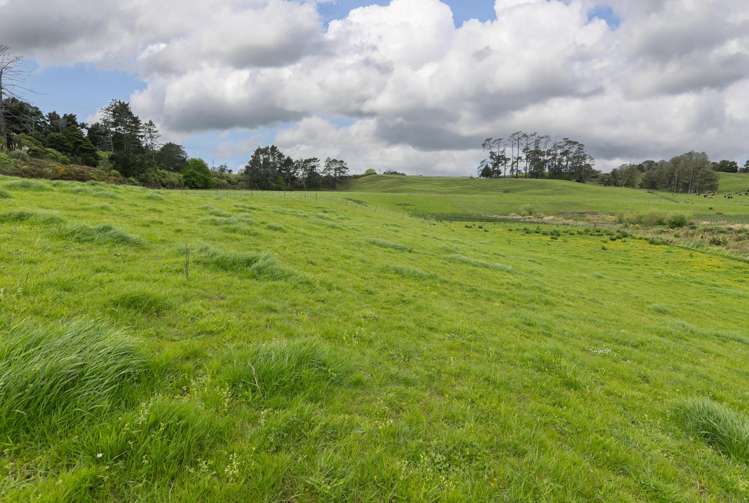 Lot 2/Section 52 Whangamarino Road Whangamarino_6