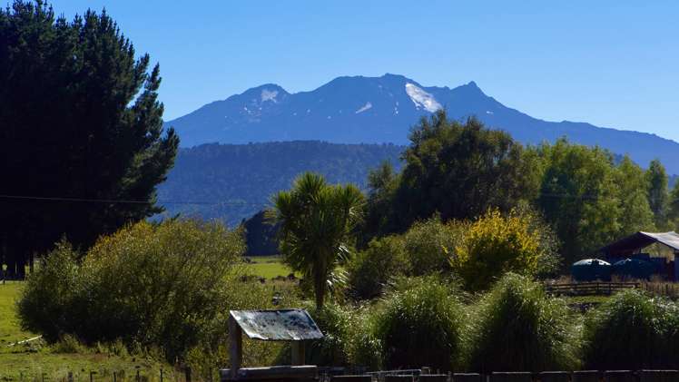 733 Raetihi Ohakune Road Ohakune_5