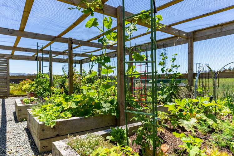 37 Cotton Lane Mangawhai_21