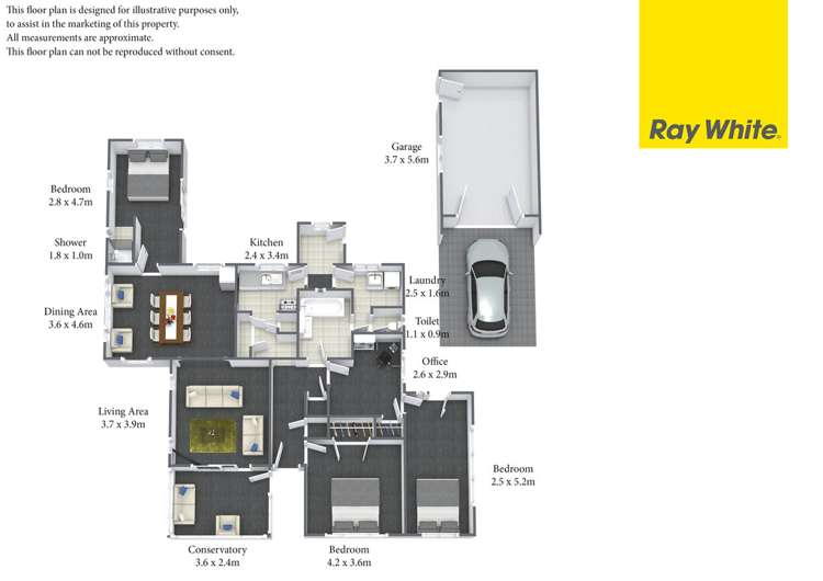 11 Nelson Street Hamilton East_13