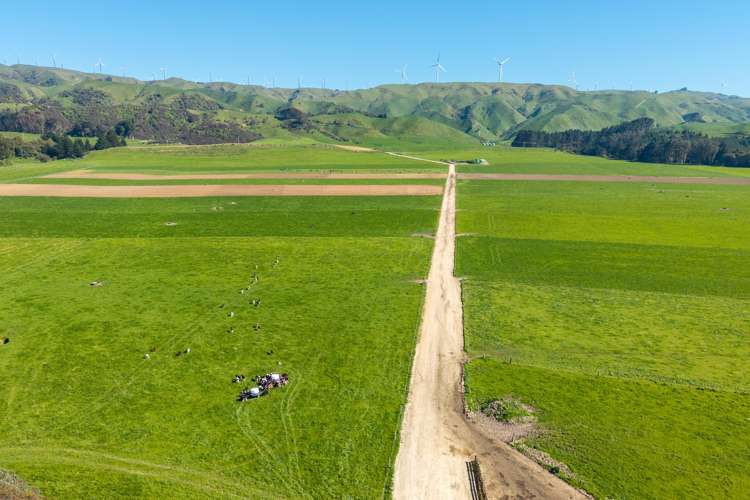 829 Ballance Valley Road Pahiatua_4