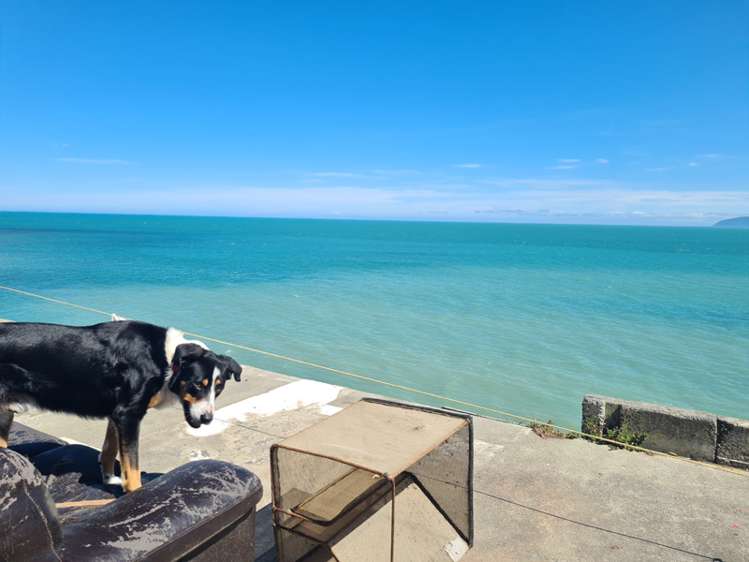 1616 Cape Palliser Road Cape Palliser_11