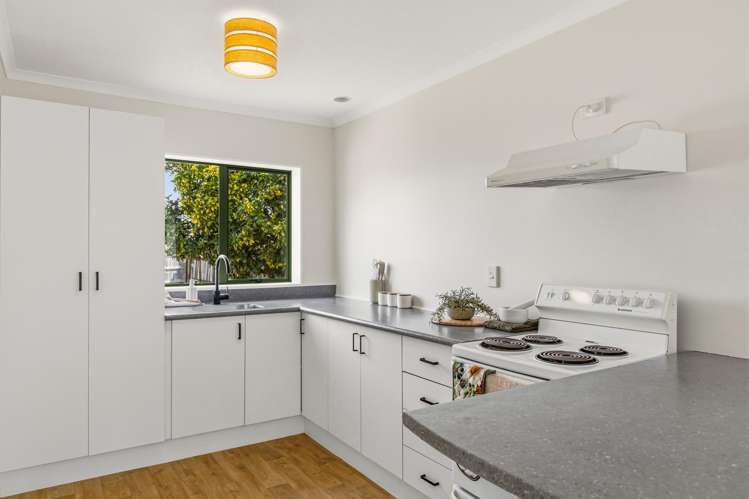 19 Studholme Street_4