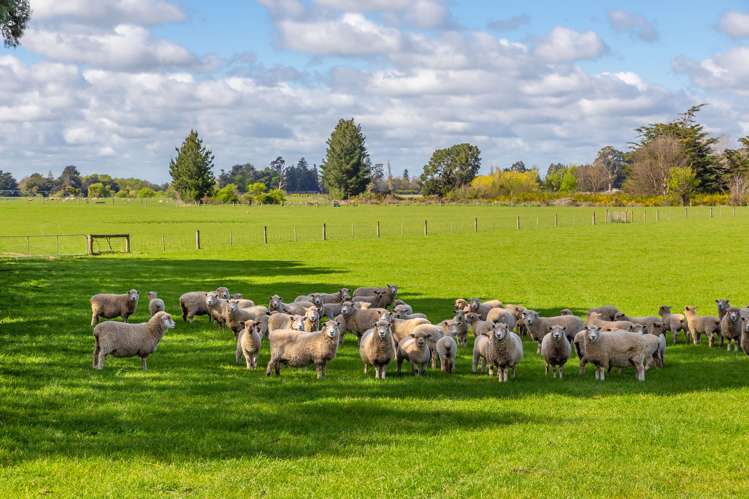 129 Hacketts Road Darfield_31