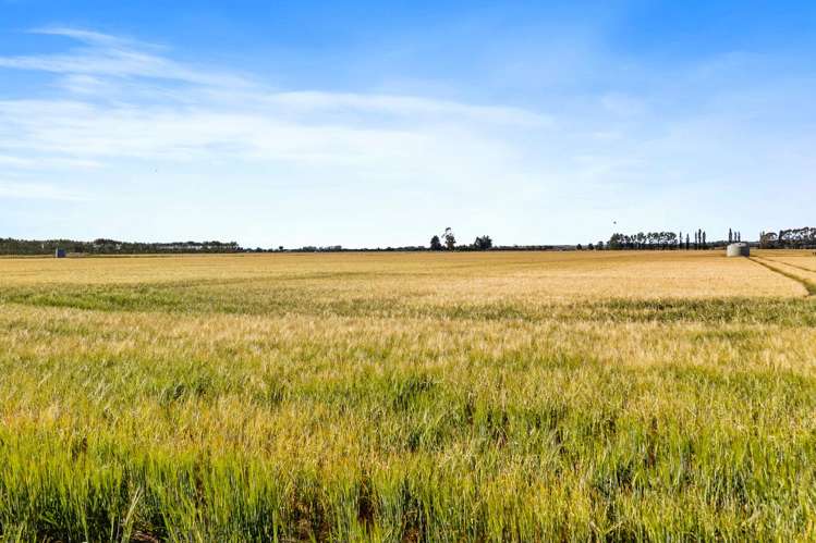 215 Falvey Road Levels_2