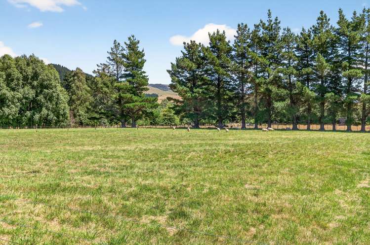 869 Norfolk Road Waingawa_26
