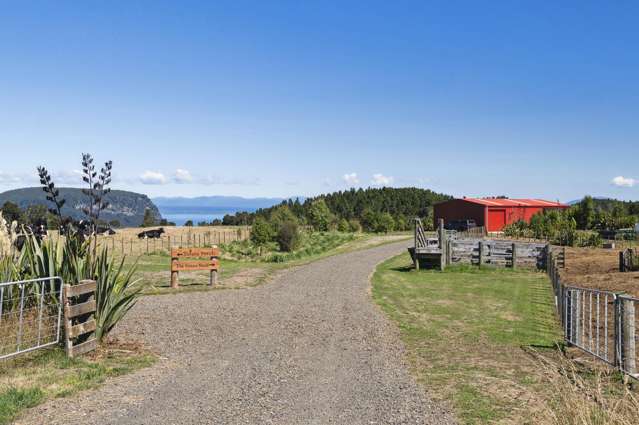 431 Kawakawa Road Marotiri_4