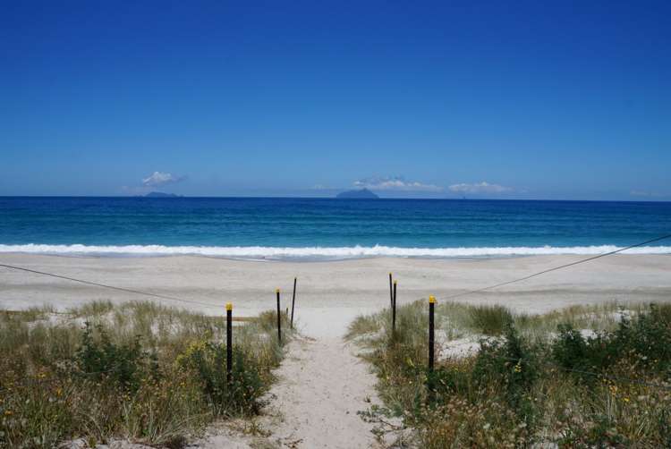 54 Peter Snell Road Ruakaka_15