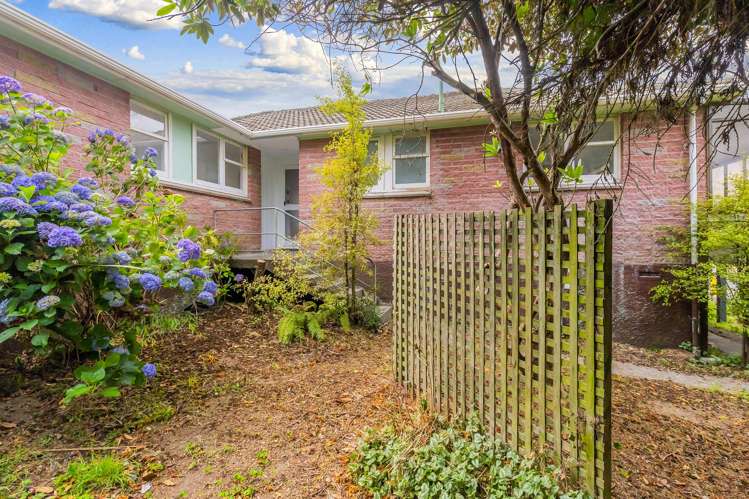 5 Rangiora Crescent Wairakei and Surrounds_15