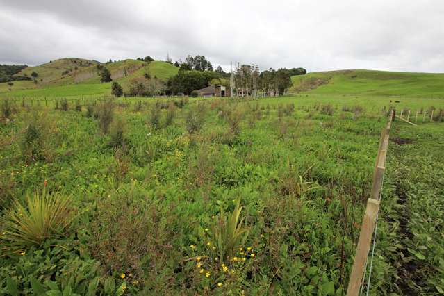 Lot 1 State Highway 1 Kaitaia_3