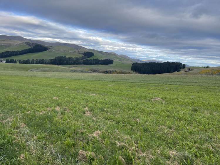 189 Pringles Road Green Valley_4