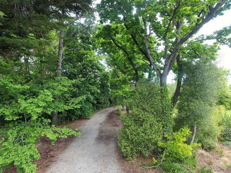 46 Templer Street Geraldine_32