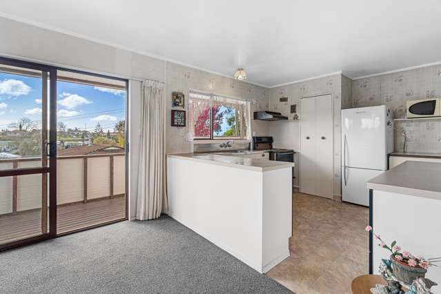 466b Fraser Street Parkvale_3