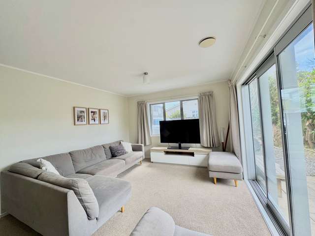 62A Calabar Road Miramar_2