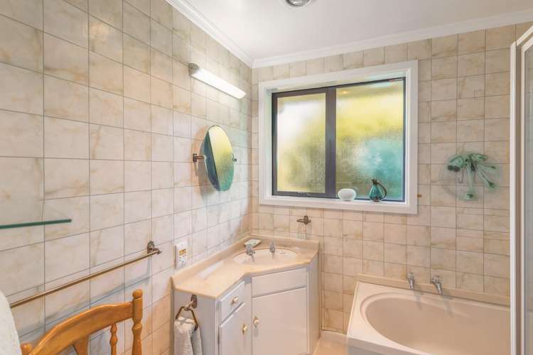 116 Major Hornbrook Road Mount Pleasant_15