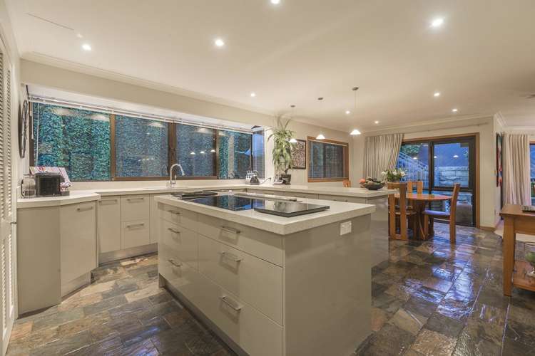 8 Glen Oaks Saint Heliers_7