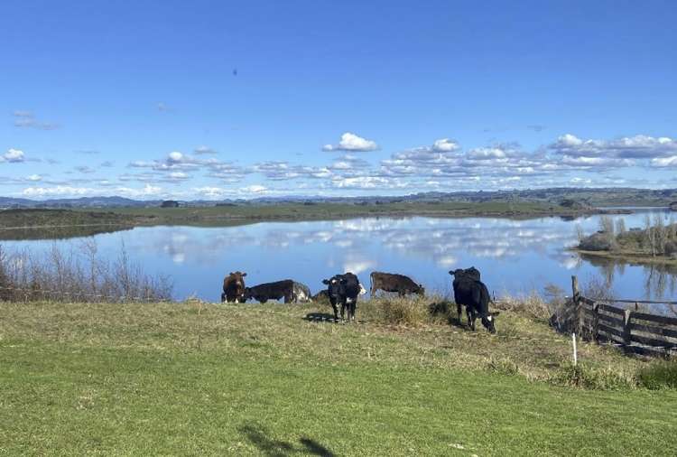 895 Glen Murray Road Rangiriri_18