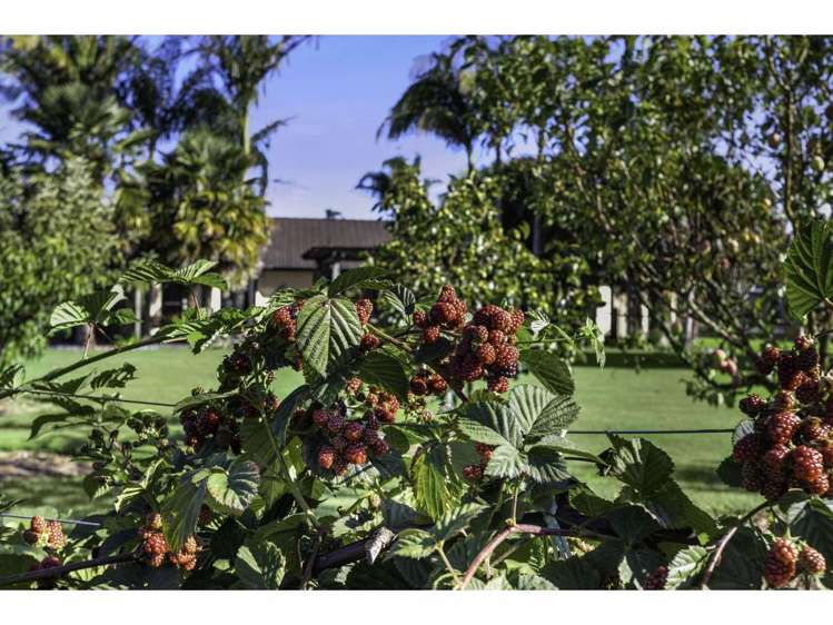 108 Waitotara Drive Kerikeri_28