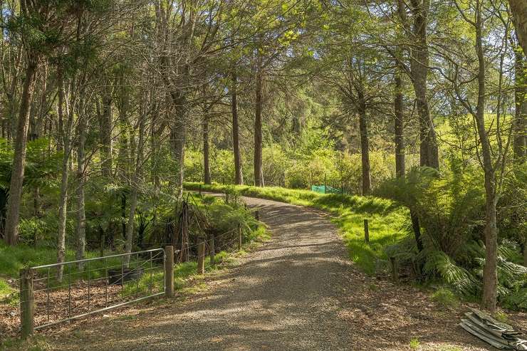 The off-grid home at 1409 Tairua-Whitianga Road, in Whenuakite, is on a large 26.3ha site, which is also home to at least half a dozen Kiwi. Photo / Supplied