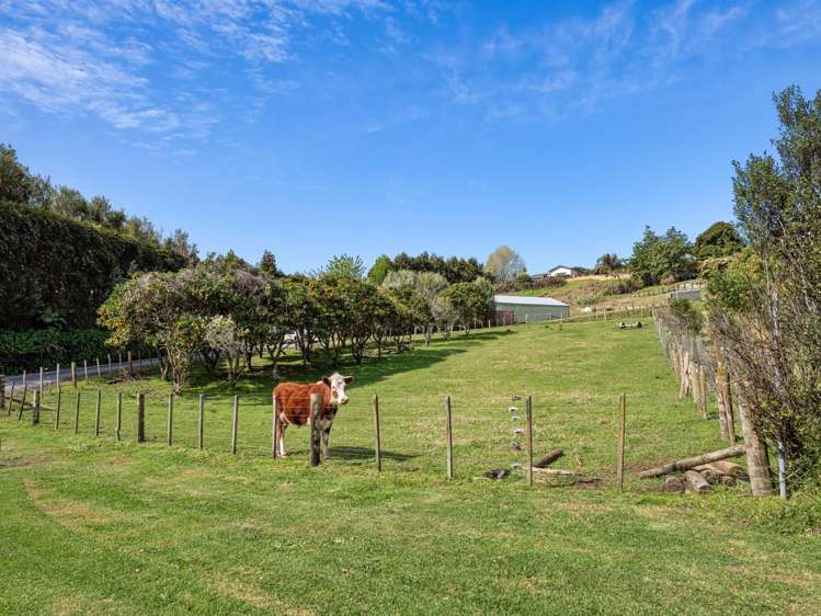 82 Snodgrass Road Te Puna_32